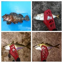 アジンガー1715〜1930