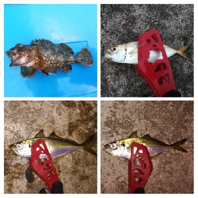 アジンガー1715〜1930