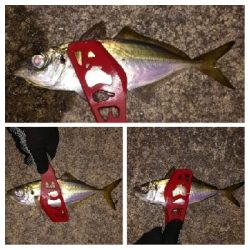 アジンガー1840〜1920