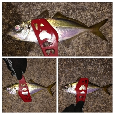 アジンガー1840〜1920