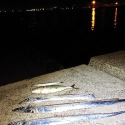 水軒へ刀狩り!!