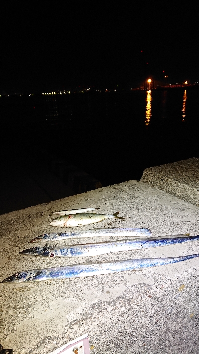 水軒へ刀狩り！！