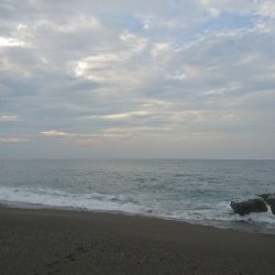 桂浜〜春野周辺サーフ ライトショアジギング