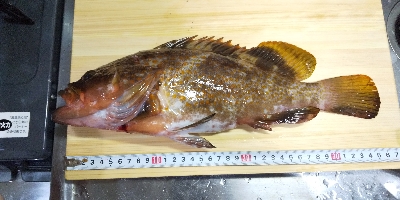 台風後不調からのラッキーパンチ！