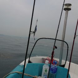 根魚釣り