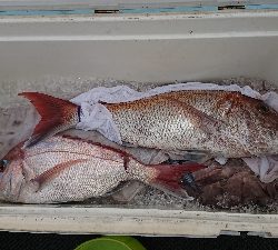 スーパーライトジギング？