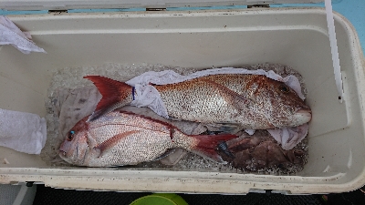 スーパーライトジギング？