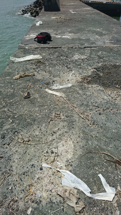 激渋の鈴鹿サーフでなんとかマゴチをゲット