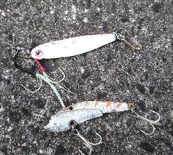 台風通過後の荒喰い