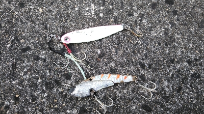 台風通過後の荒喰い