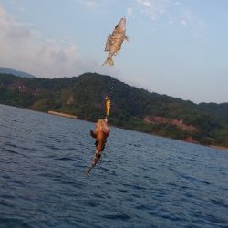 シーカヤック釣行