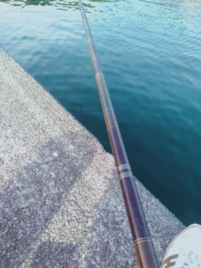 カマスリベンジ