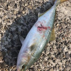 熱中症になりそうなぐらい