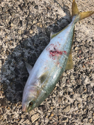 熱中症になりそうなぐらい