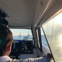 佐賀でデイイカメタル