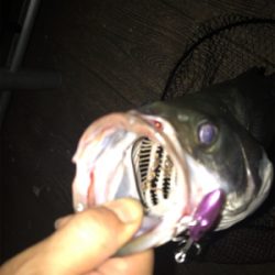 いつもと違う？