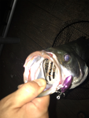 いつもと違う？