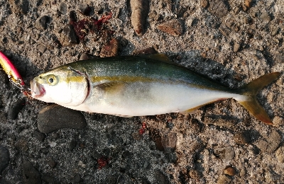 久しぶりの場所