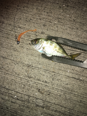 マイクロライトゲーム