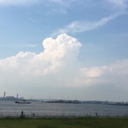 シーサイドコスモで豆アジとサッパ