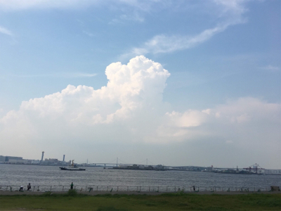 シーサイドコスモで豆アジとサッパ