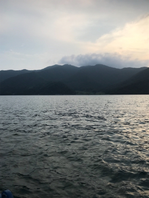 親海公園 豆アジ祭