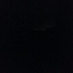 ケンサキイカ2杯！！