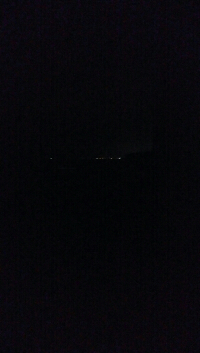 ケンサキイカ2杯！！