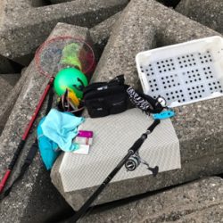 ショゴ狙ってサワラ釣る