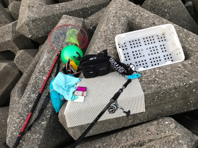 ショゴ狙ってサワラ釣る