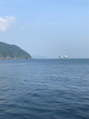 昨日に引き続き