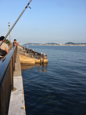 なんとかツバスゲット！