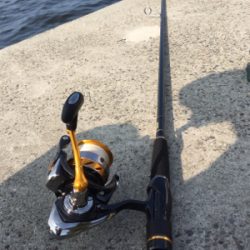 ツバス狙いが、、、