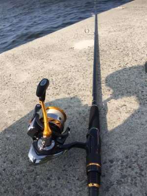 ツバス狙いが、、、