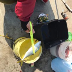 ツバスのはずが・・・