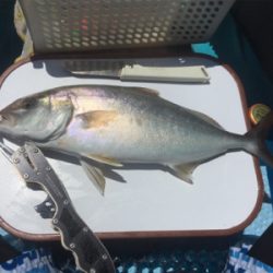 県南でカヤックフィッシング！