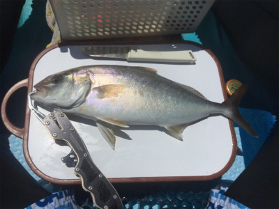 県南でカヤックフィッシング！