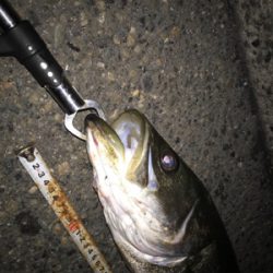 活性アゲアゲ！