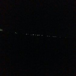 ケンサキイカ2杯！！