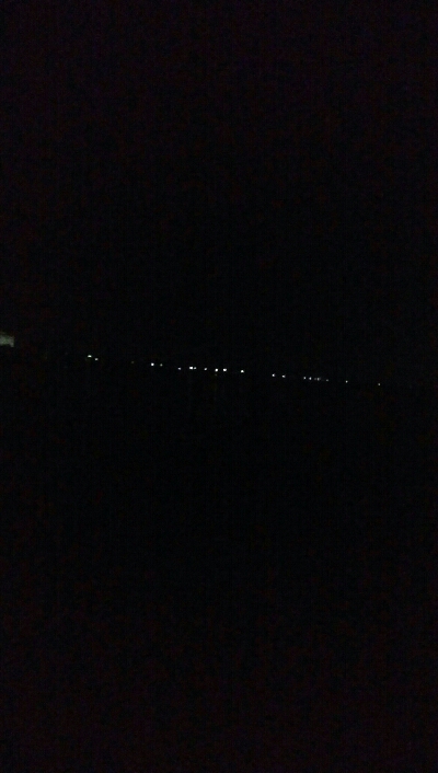 ケンサキイカ2杯！！