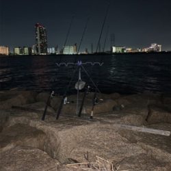 夕まづめのうなぎ釣り