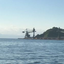 子供たちの魚釣