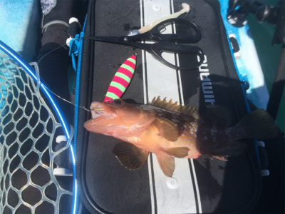 カヤックフィッシングで五目達成!