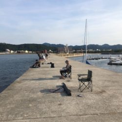 タチウオどこや?