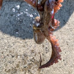 盆休み、1日目。