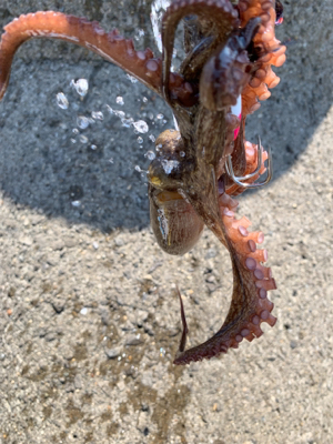 盆休み、1日目。