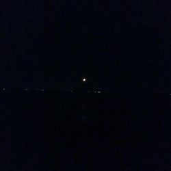 ケンサキイカ1杯　激渋！！