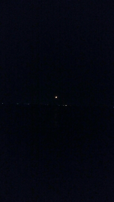 ケンサキイカ1杯　激渋！！