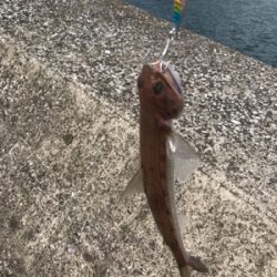 ショアジギング