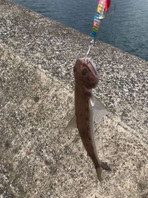 ショアジギング